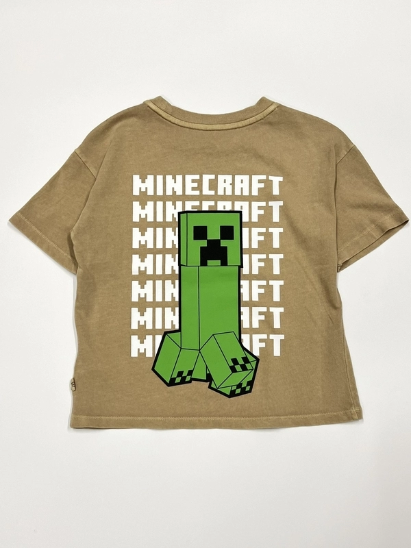 マイクラTとセットアップ！