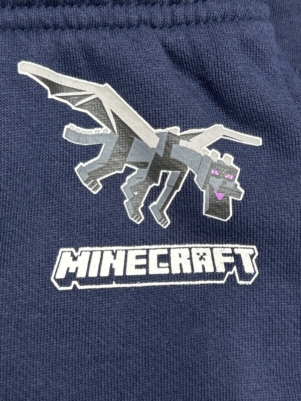 マイクラ好きなんだ！