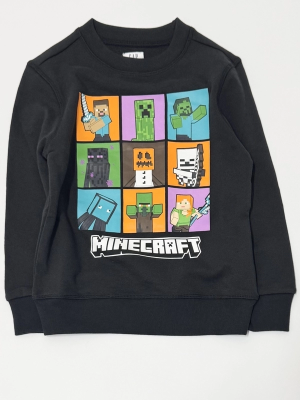 マイクラでセットアップに