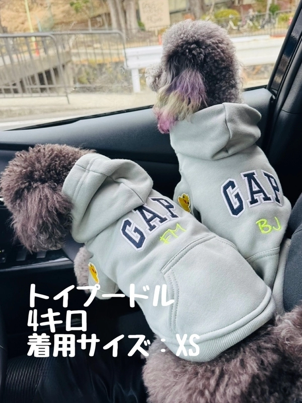 GAPペット服犬種別サイズ紹介♪【2026最新版】 | Gap公式オンラインストア