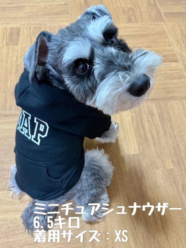 GAPペット服犬種別サイズ紹介♪【2026最新版】 | Gap公式オンラインストア
